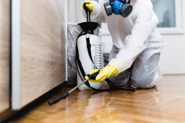 Best Pest Control for Businesses  in Falfurrias, TX