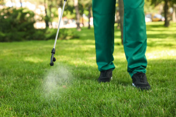 Best Ant Control Services  in Falfurrias, TX