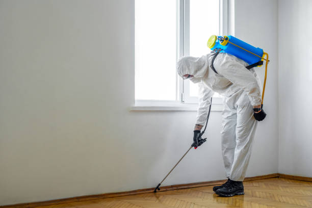 Pest Prevention Services in Falfurrias, TX