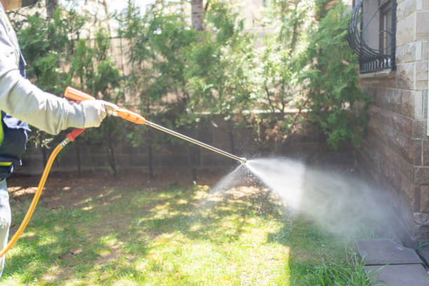 Best Cockroach Control Services  in Falfurrias, TX