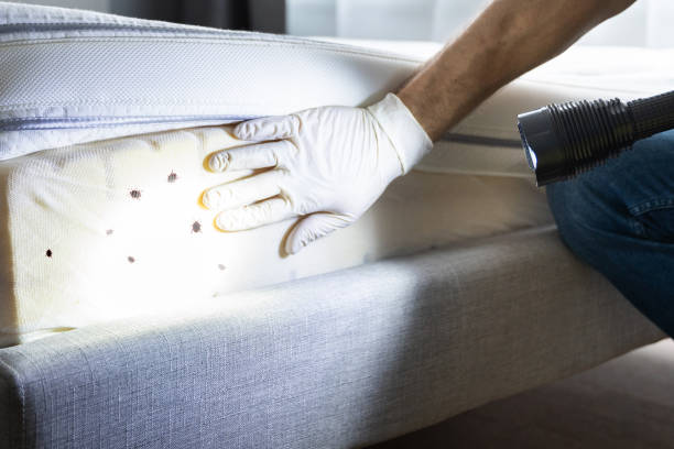 Pest Control Cost in Falfurrias, TX