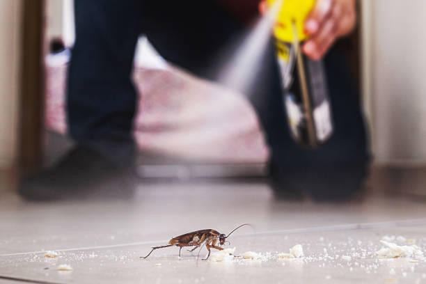 Best Emergency Pest Control  in Falfurrias, TX